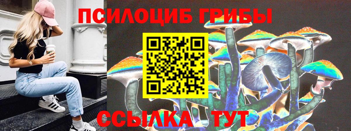 Галлюциногенные грибы Psilocybe  Вход с VPN  Бийск 